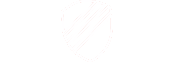 Logo Anton Speer externer Datenschutzbeauftragter Datenschutzauditor und IT Strategie Berater